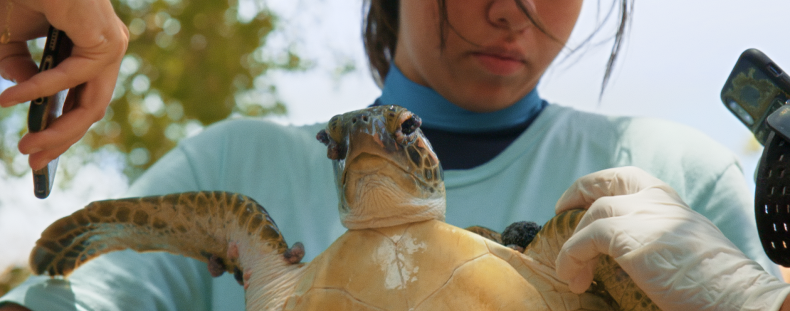 Julieta en de schildpadden in de plastic soep filmstill1