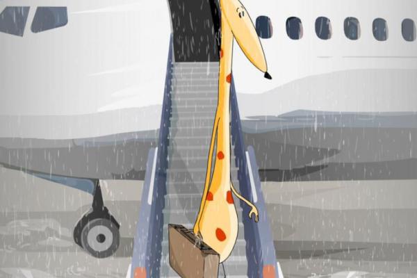 Een giraf in de regen filmstill